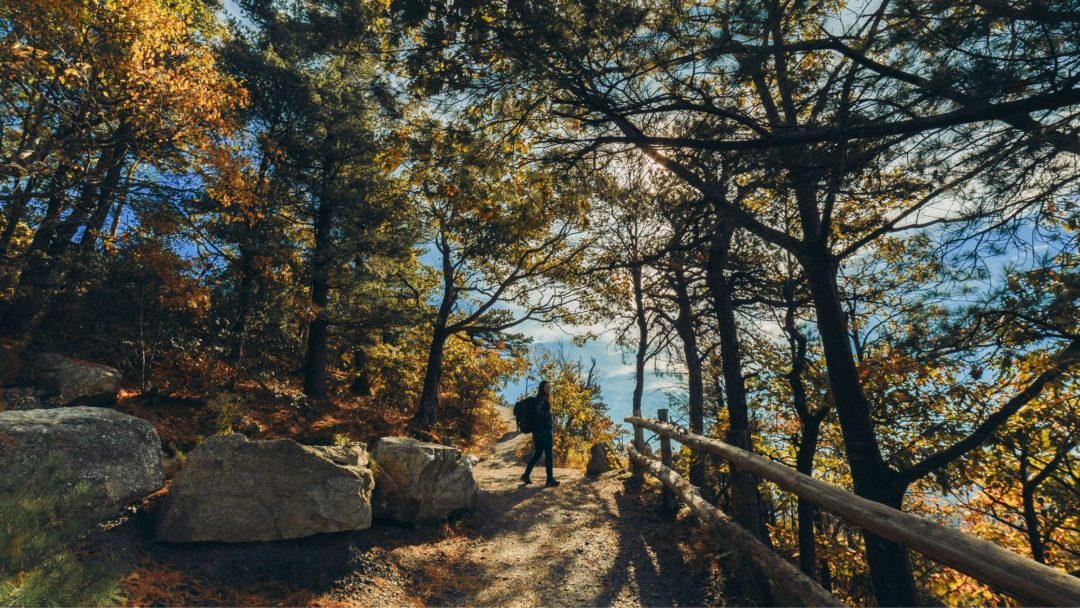 bear mountain trail