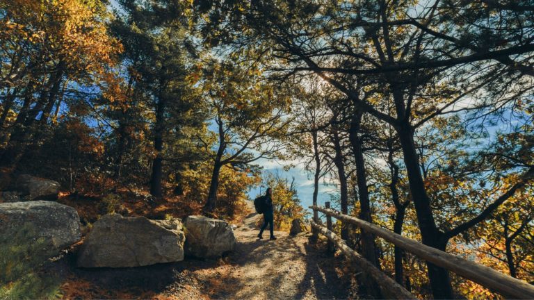 bear mountain mountain bike trails