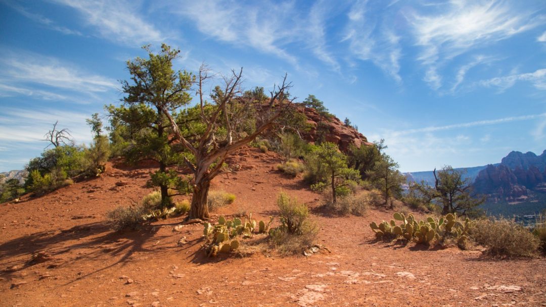 sedona vortex tours