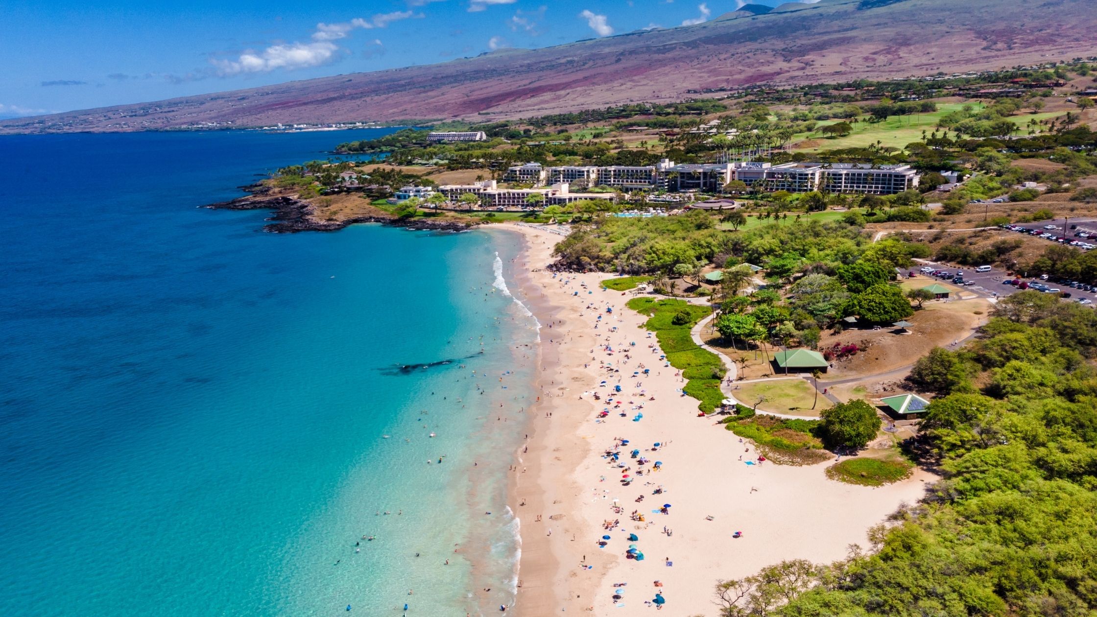 Big Island Beaches of Hawaii (10 Breathtaking Beaches to Visit)