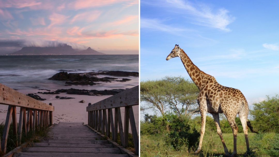best safaris in south africa