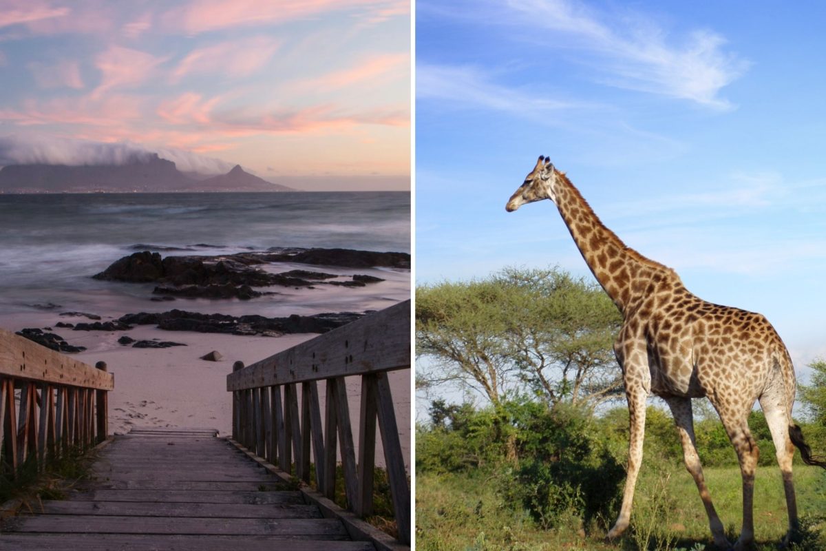 best safaris in south africa