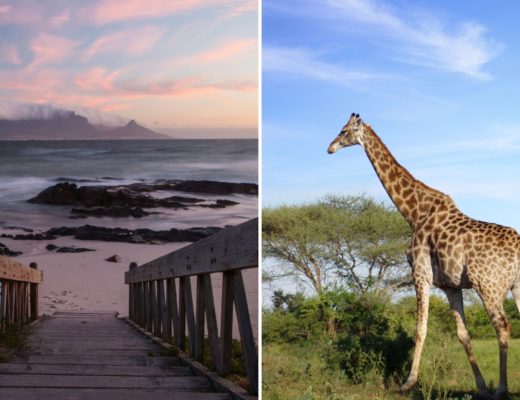 best safaris in south africa